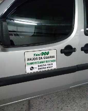 Foto 1 - Táxi dog anjos da guarda transporte de pets